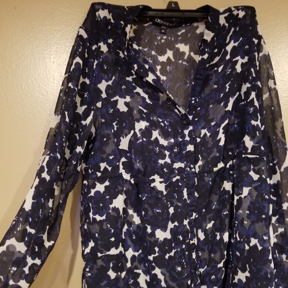 Express Tops - Express Sheer button up blouse XS